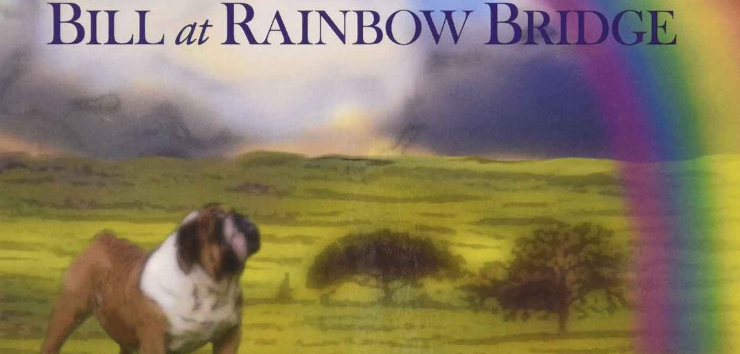 bill at rainbow bridge book cover art