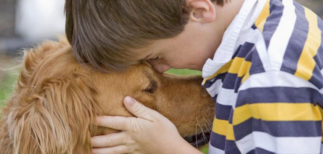 a boy and his dog touching foreheads