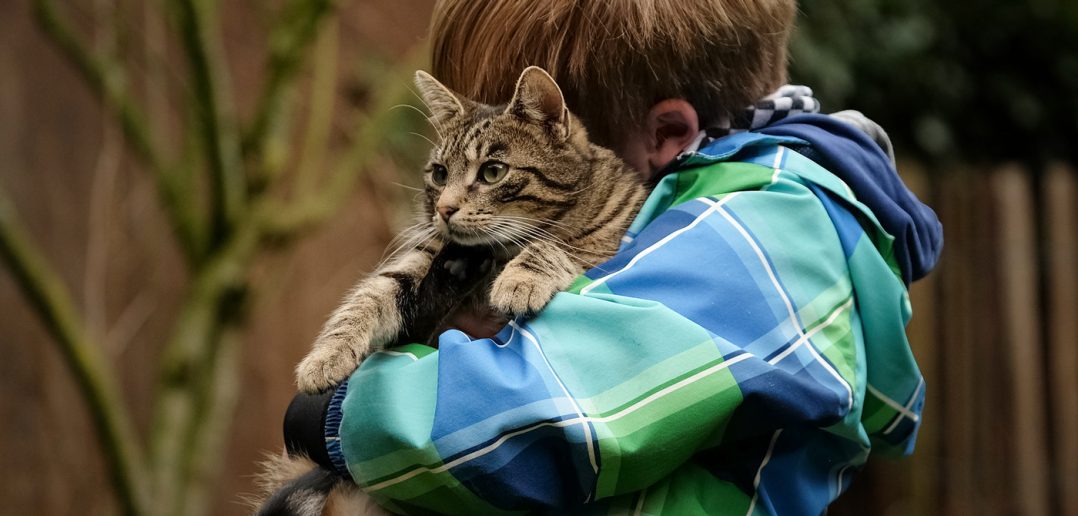 little boy hugging his cat