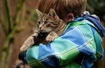 little boy hugging his cat