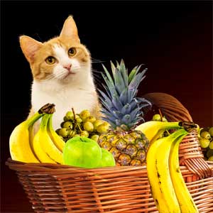 cat sitting behind a fruit basket