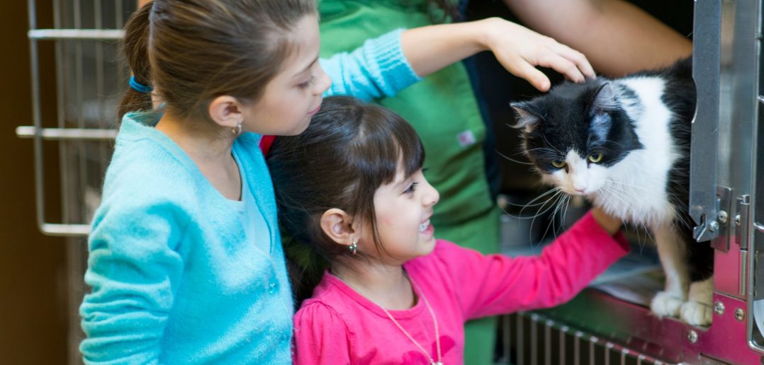 Two young children gently interacting with a cat while an adult supervises, illustrating thoughtful pet selection for families.