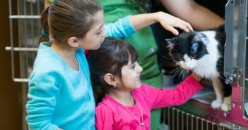 Two young children gently interacting with a cat while an adult supervises, illustrating thoughtful pet selection for families.