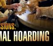 Confessions of a Hoarder on Animal Planet