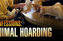 Confessions of a Hoarder on Animal Planet