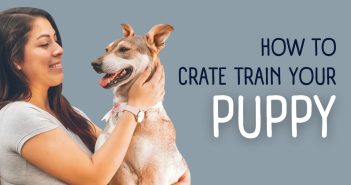 a woman holding her dog next to the words how to crate train your puppy