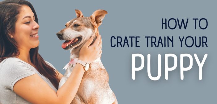 a woman holding her dog next to the words how to crate train your puppy