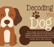 decoding your dog banner