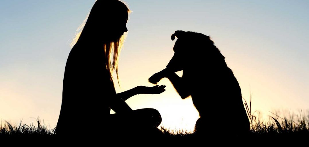 dog and woman silhouetted against sunset