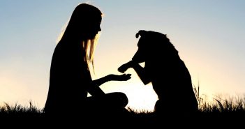 dog and woman silhouetted against sunset