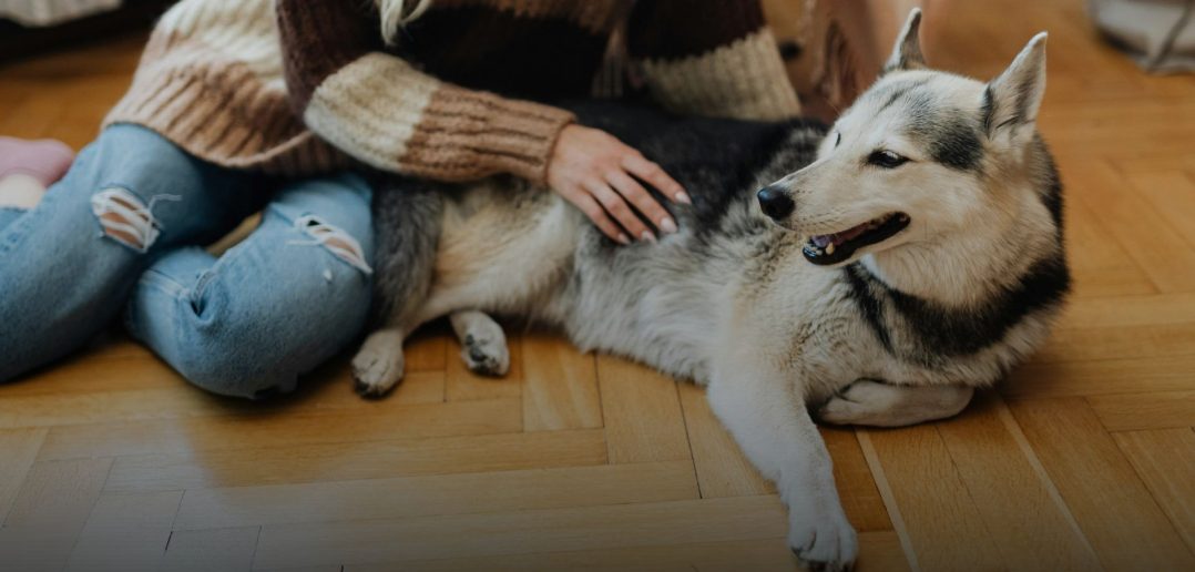 woman sitting on the floor with her dog