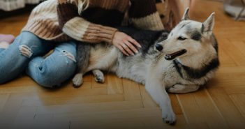 woman sitting on the floor with her dog