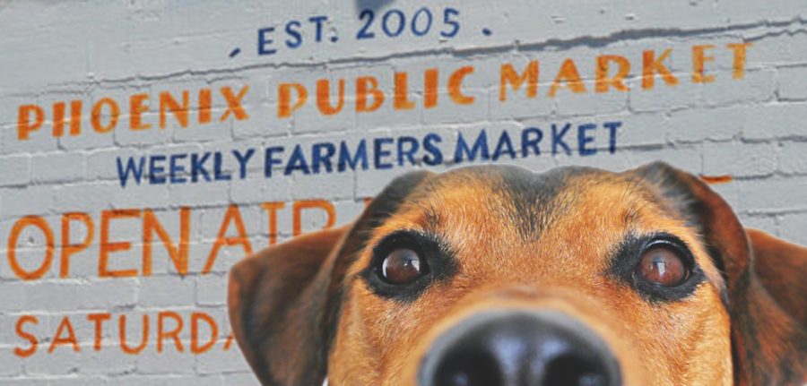 dog in front of phoenix open air market