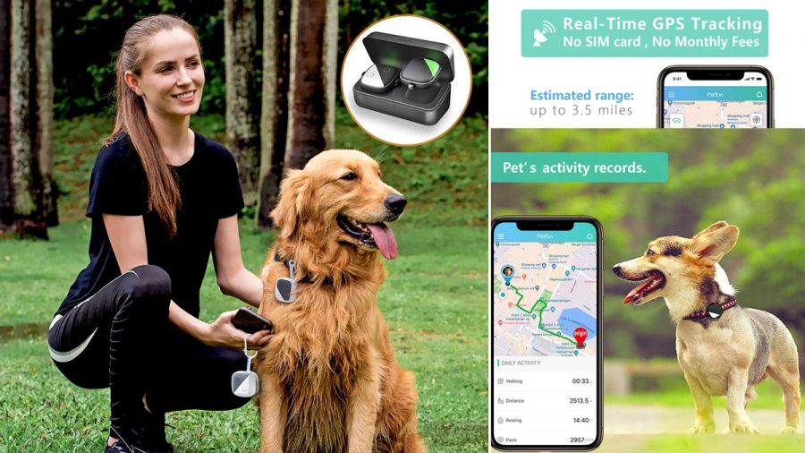 photos of a gps pet tracker and smart phone