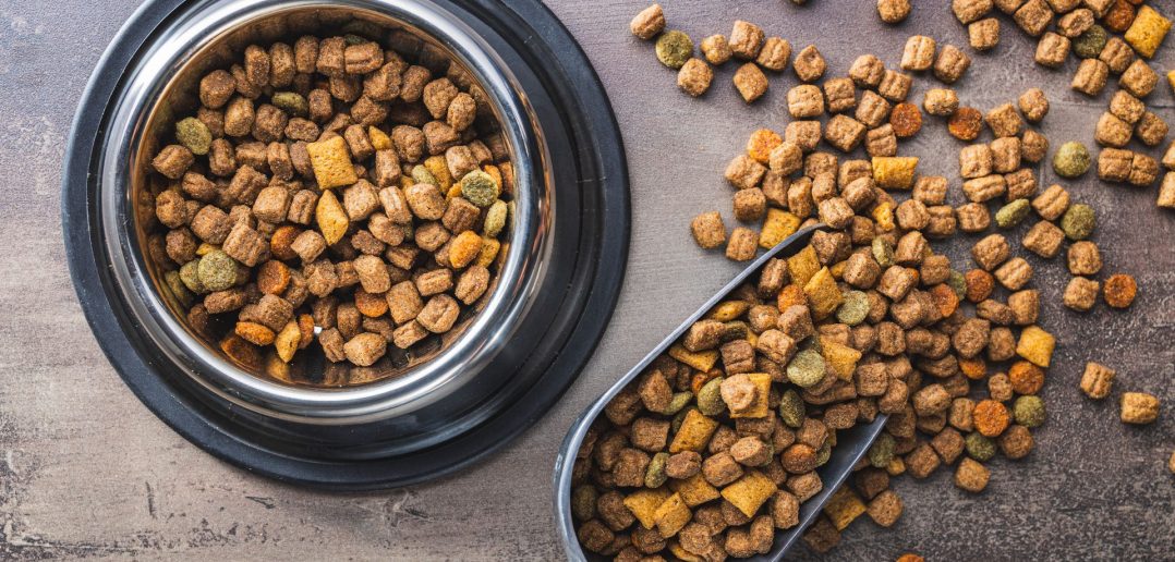 dry dog food in a bowl with a scoop full of kibble beside it