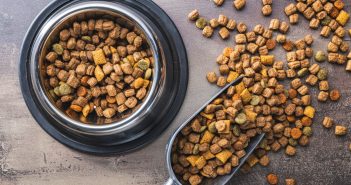 dry dog food in a bowl with a scoop full of kibble beside it