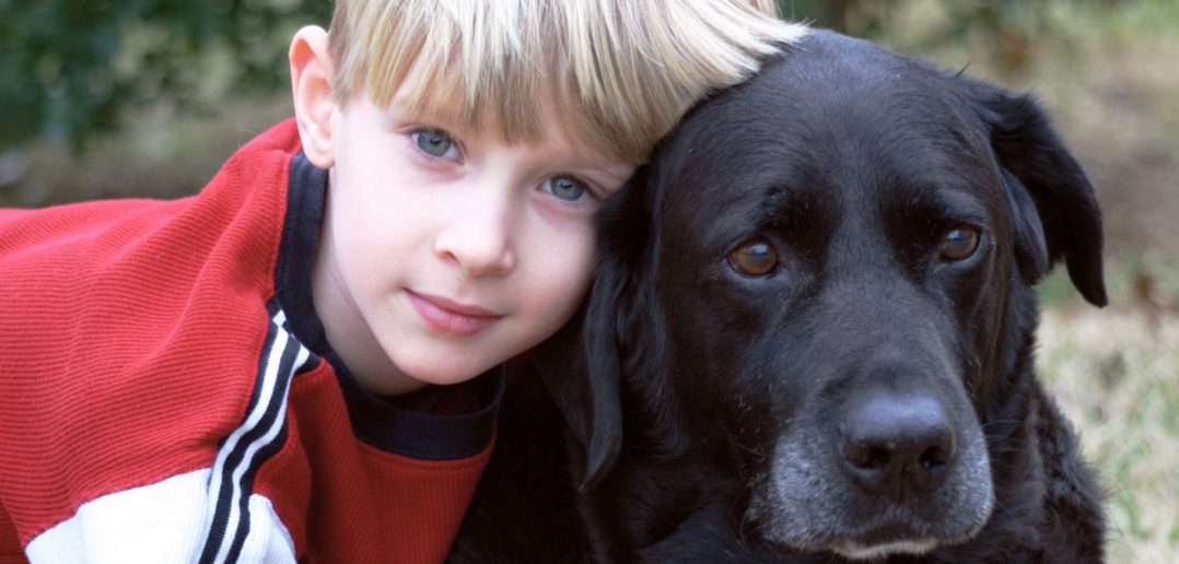 senior black dog with his boy