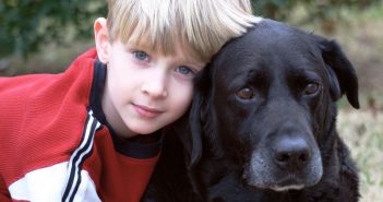 senior black dog with his boy