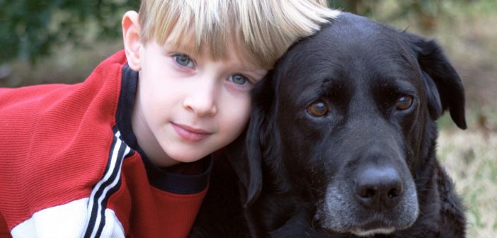 senior black dog with his boy