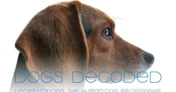 dogs decoded understanding the human-dog relationship title over dog head profile background