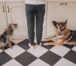 Two dogs sitting on a kitchen floor looking up at a person, waiting patiently for a treat.