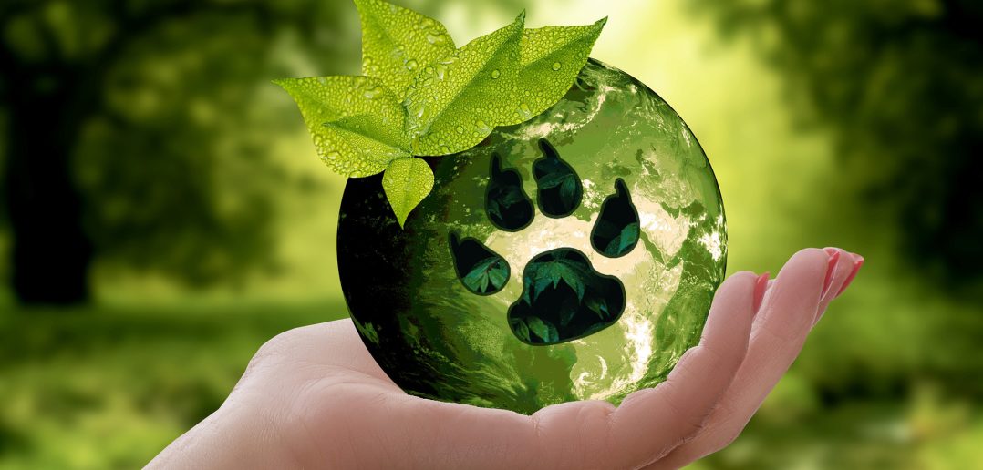 illustration of woman holding the earth with a paw print stamp in the palm of her hand