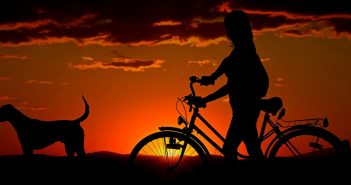 person with dog and bike silhouetted at sunset