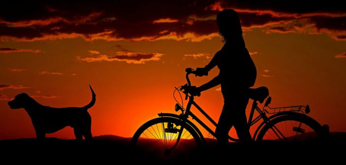 person with dog and bike silhouetted at sunset
