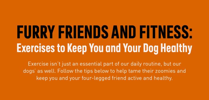 Title Banner that says Furry Friends and Fitness: Exercises to keep you and your dog healthy