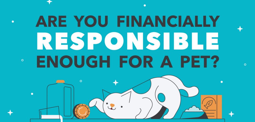 graphic are you financially responsible enough for a pet?