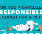 Considering the Cost of Pet Ownership