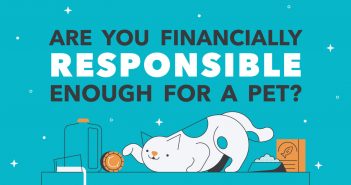 graphic are you financially responsible enough for a pet?