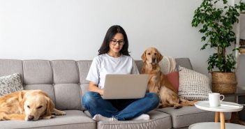 Woman sitting on a couch using a laptop with two dogs beside her while researching pet-friendly hotels at home