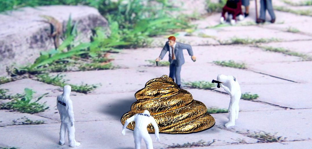 funny representation of investigating dog poop