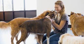 woman loving her foster care dogs