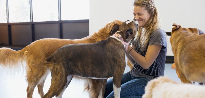 woman loving her foster care dogs