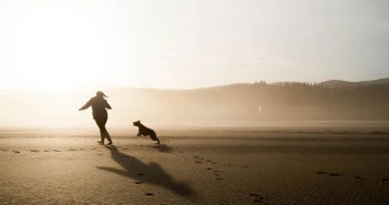 woman and her dog far away on a beach