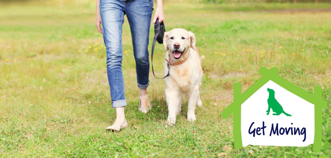 woman walking her large dog
