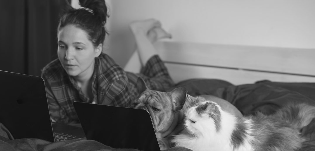 Woman, dog, and cat looking at laptops together, symbolizing trust, transparency, and a love for pets.