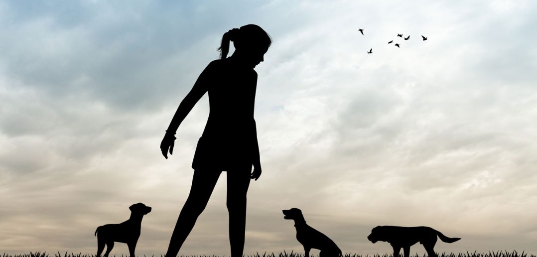 girl and 3 dogs outside silhouetted against a blue sky