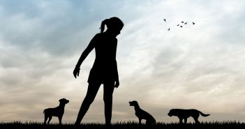 girl and 3 dogs outside silhouetted against a blue sky