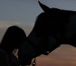 a girl and her horse silhouetted at dusk