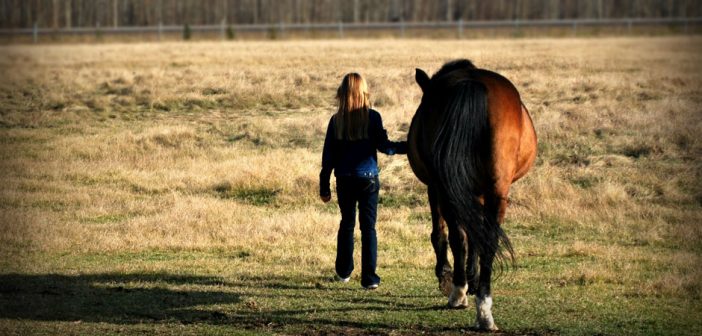 a girl leading her horse through a pasture