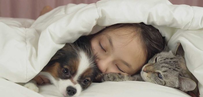 girl sleeping in bed with per pets