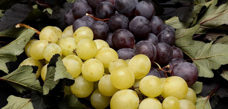 green and red grapes