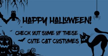 Cute Cat Costumes happy halloween cat costumes silhouette