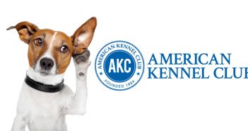 dog listening akc logo