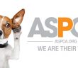dog listening to a tin can with the aspca logo