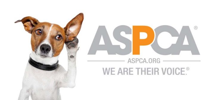 dog listening to a tin can with the aspca logo