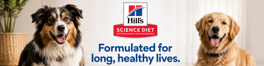 Hill's Science Diet banner with border collie and golden retriever and formulated for long healthy lives tagline